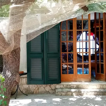 Apartment Oblo